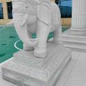 通化 白麻花岗岩动物异形石雕-大象
