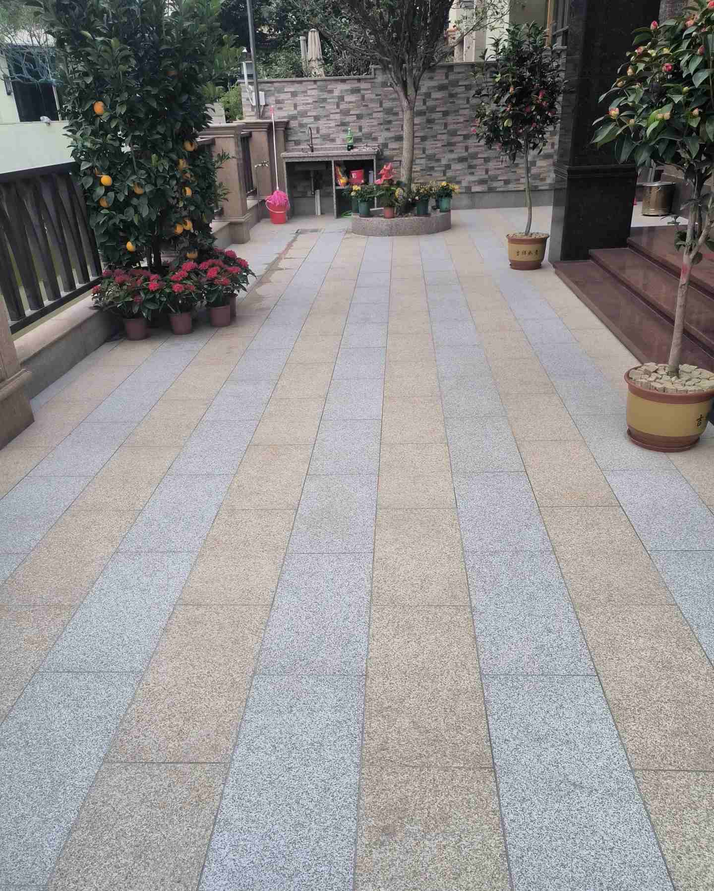 通化 黄金麻白麻荔枝面庭院铺装展示